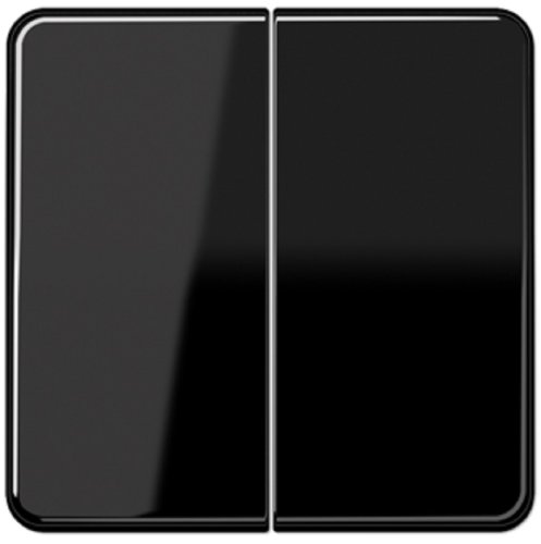 Лицевая панель Jung CD500 для 2-кл. выключателя черный картинка